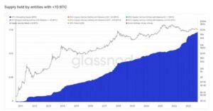 Bitcoin's Supply Distribution